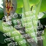 Avit Rai Profile Picture