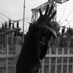 Robius Wamjungu Profile Picture