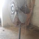 Tariq Mehmood Profile Picture