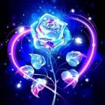 Fidel Odiwuor Profile Picture