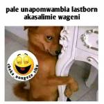 Peter Nzai Profile Picture