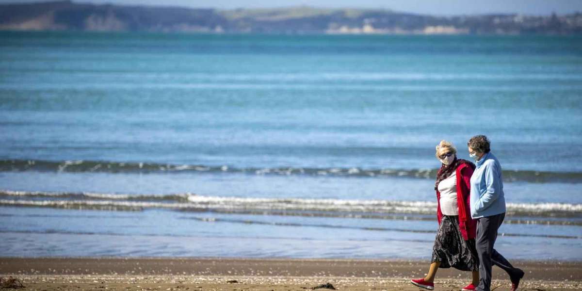 New Zealand wages high-stakes effort to halt virus outbreak