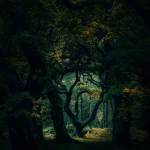 Jeremy Kaluta Profile Picture