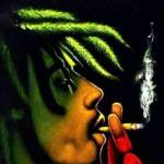 Auba Necha Profile Picture