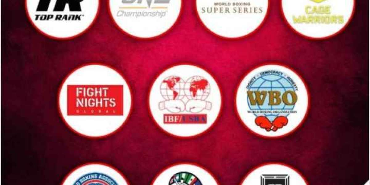 StarTimes brings best of world combat sports to Africa