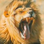 Joseph Mazanda Profile Picture