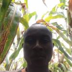 Vincent Obwogi Profile Picture