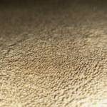 Calvin munene Profile Picture