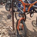 Pacifica Wasonga Profile Picture