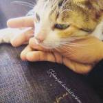 Mukthar Hounga Profile Picture