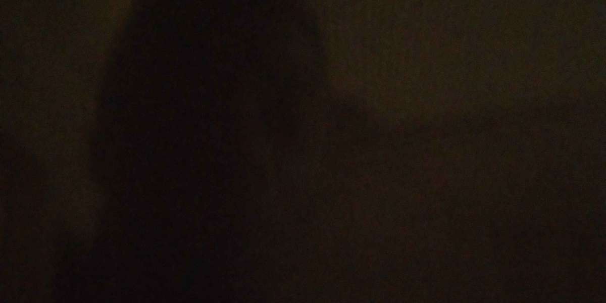 Just guessing who batray juses