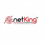 Netking technologies Profile Picture