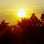 Kibz Michael Profile Picture