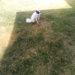 Christine Mwaura Profile Picture