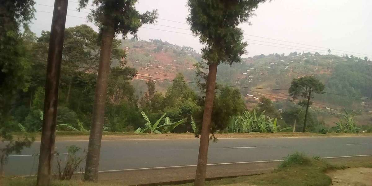 Karambo' s road