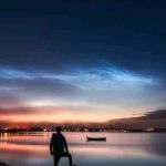 Suzman Lunghani Profile Picture