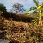 Bonface Kimanthi Profile Picture