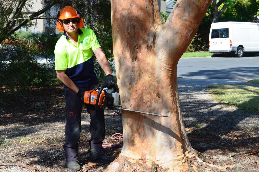 Tree Cutting Melbourne – Hedge Trimming Melbourne - Hedge Cutting