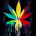 Īåñø Mröøty Profile Picture