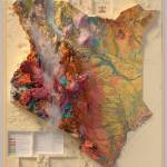 Elvis N Profile Picture