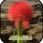 Rahma Guyo Profile Picture