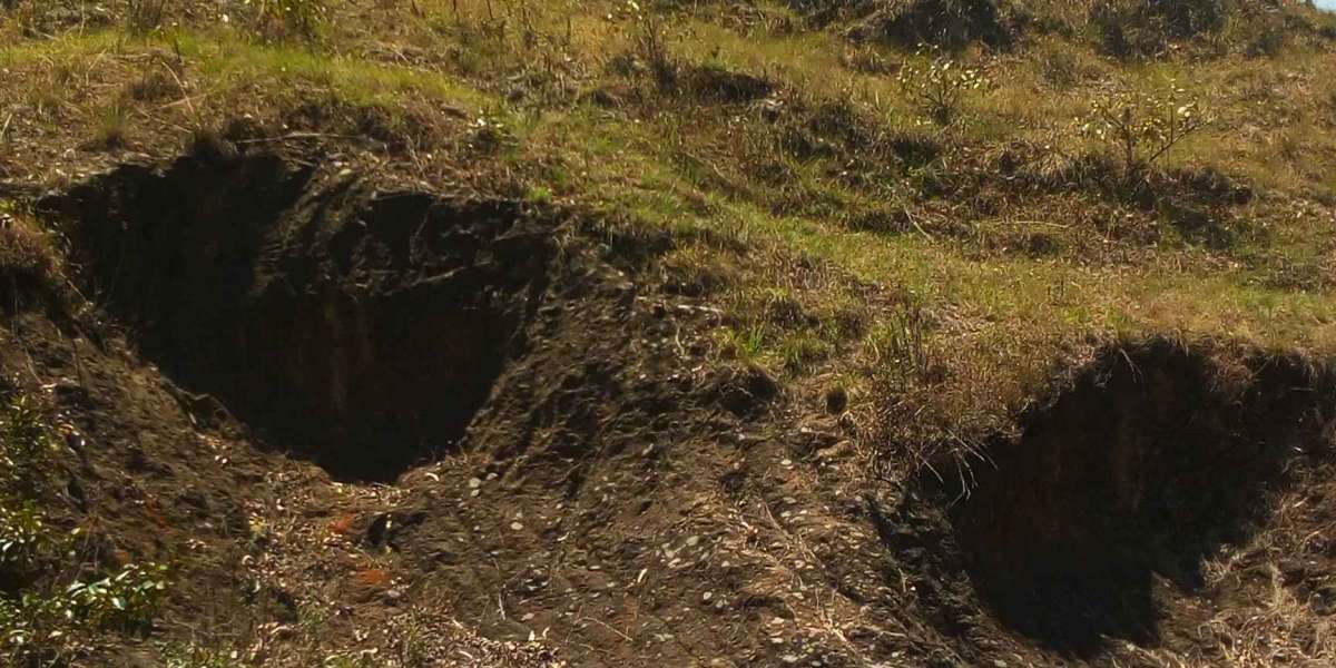 Umusozi wa nyamabuye