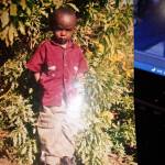 Wilson Gachuru Profile Picture