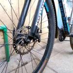 Phibi Aoko Profile Picture