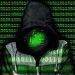 Pedge Local profile picture