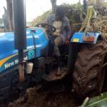 Reagan Roy Profile Picture