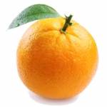 Jared Ounda Profile Picture