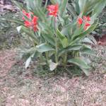 Betty Kathomi Profile Picture