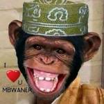 John Mburu Profile Picture