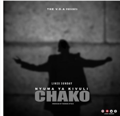 AUDIO | Linex_Nyuma_Ya_Kivuli_Chako |Download - MUSIC FOR LIFE