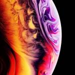 Caroline Edmund Profile Picture