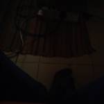 Mugadia Silas Profile Picture