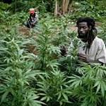 Moses Kasongo Profile Picture