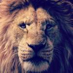 John Nyoike Profile Picture