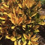 Bonface Mokaya Profile Picture