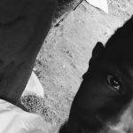 Dennis Ndonga Profile Picture