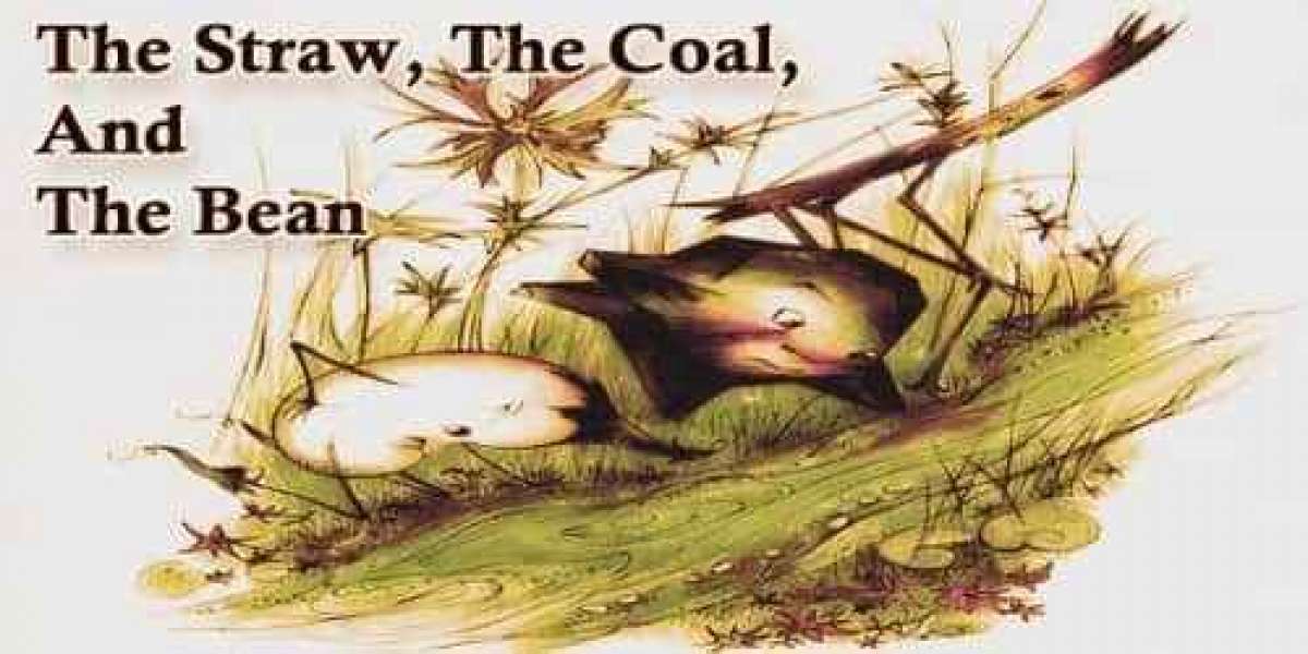 The straw, The Coal, and The Bean: Story