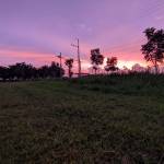 James Cabontocan Profile Picture