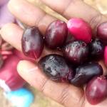 Beth Waithera Profile Picture