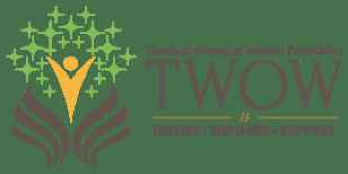 Timeless Women of Wonder Foundation (TWOW), The Timeless Champion of Change Program (TCC)