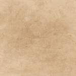 Kristen Roman Profile Picture