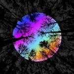 Salim Hussein Profile Picture