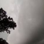 Joshua Abdullahi Profile Picture