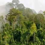 NIYONKURU Guillaume Gilbert Profile Picture