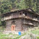 poonam thakur Profile Picture