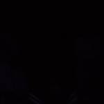 Nicholas Nyaosi Profile Picture